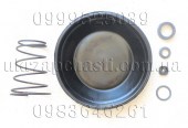 Ремкомплект насоса вакуумного ГАЗ-3309, 4301 полный 3309-3510009